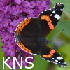 KNS-logotyp